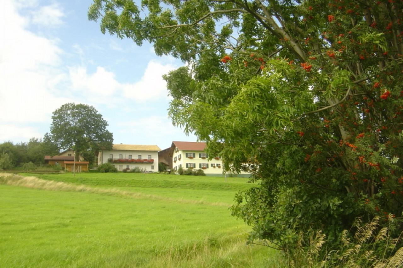Appartement Birkenhof à Neukirchen beim Heiligen Blut Extérieur photo